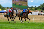 040826-Race 4-Miss Rainbow-5264