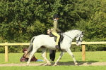 SBM_67426
