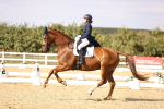 SBM_015513