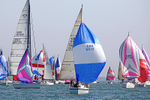190629 BAMBI GBR9612 D43A1867 1