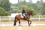 SBM_007484