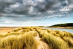 Grass Sand Dune - Wells Next The Sea - Norfolk