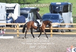 BPP_9504