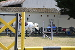 WJ6_6317
