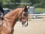 JAC_5456