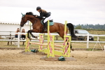 SBM_024464