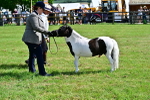 SBM_03441