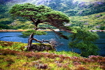 20100827_0228_2