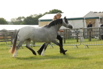 SBM_00408