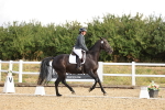 SBM_003350