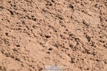 260425-143122-16101