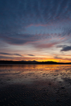 Rough Firth, Galloway (09081437)