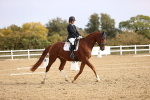 SBM_009610