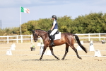 SBM_004193