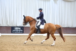 SBM_008965
