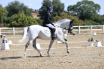 SBM_013805
