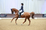 SBM_007239