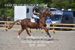 BPP_8099