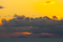 Island on the Edge of the World