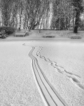 Links, Nairn - January
