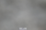 240611A-194130-01430