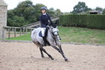 Unaffiliated Show Jumping portfolio