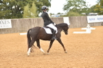SBM_03629