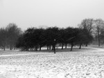 Primrose Hill - Winter Snow_2_London_photography