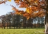 Autumn Colour
