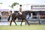 SBM_11399
