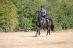 WJ6_6834