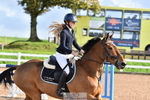 Pony Foxhunter & 1.10m Open portfolio