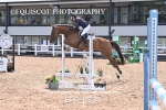 BPP_8534