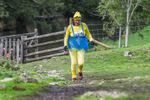 Dovedale Dash-2736