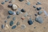 Rocks