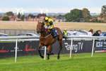 160926-Race 8-Evelyns Phoenix-2198