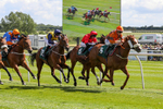 080624-Race 3-Without Delay-4719