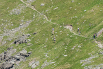 Duddon Long-1