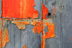 Old Paint