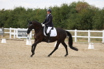 SBM_015604