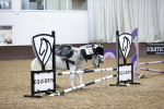 SBM_000981