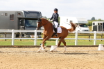 SBM_012026