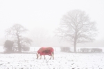 Kerridge in winter