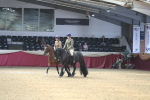 SBM_12987