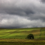 Cabrach landscape