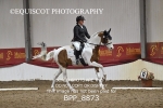 BPP_8873