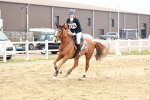 SBM_009683