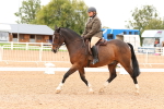 SBM_01551
