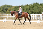 SBM_001734