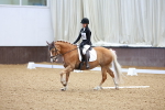 SBM_000546